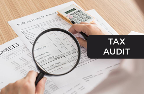 tax-audit